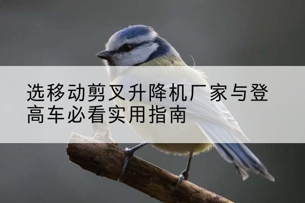 眉山电动升降机厂家-选移动剪叉升降机厂家与登高车必看实用指南