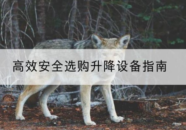 眉山升降货梯厂家推荐-*安全选购升降设备指南